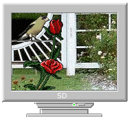 Компьютер, телевизор, телефон, фото Птичка на мониторе аватар
