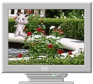 Компьютер, телевизор, телефон, фото Кошечка у фонтана аватар