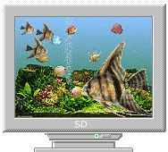 Компьютер, телевизор, телефон, фото Рыбки на мониторе аватар
