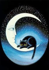 Космос, звезды, луна и месяц Черная кошка лежит на Луне аватар
