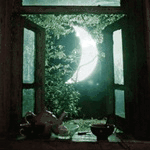 Космос, звезды, луна и месяц Окно с видом на месяц аватар
