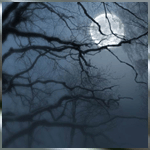 Космос, звезды, луна и месяц Луну видно сквозь ветки деревьев аватар