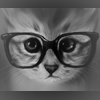 Кошки и котята Умный кот в очках, нарисованный в чёрно-белых тонах аватар