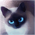 Кошки и котята Кошка с голубыми глазами на фоне мерцающей пыльцы аватар