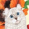 Кошки и котята Белая киса с круглыми ушками аватар