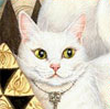 Кошки и котята Белая киса с желтыми глазами аватар