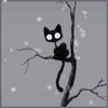 Кошки и котята Черный кот с большими глазами сидит на дереве под снегом аватар