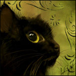 Кошки и котята Черный котенок с желтыми глазами аватар