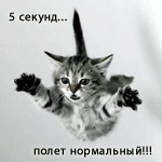 Кошки и котята 5 секунд... полёт нормальный!!! аватар