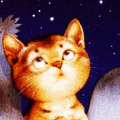 Кошки и котята Dare to dream аватар