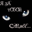 Кошки и котята Глаза во тьме (я за тобой слежу...) аватар