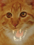 Кошки и котята Кошка-пантера аватар