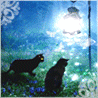 Кошки и котята Кошки ловят под фонарём ночных бабочек аватар