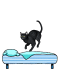 Кошки и котята Кошка прыгает на кровати аватар