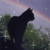 Кот.  В небе радуга