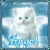 Котя-ангелок