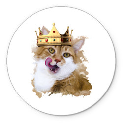 Кошки и котята Кокетливая кошка в короне облизывается аватар