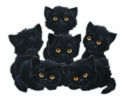Кошки и котята Шесть маленьких котят хлопают глазками аватар