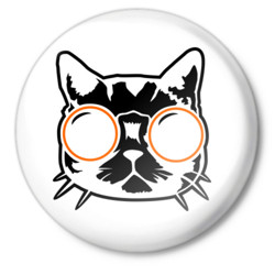 Кошки и котята Кот в очках аватар