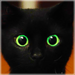 Кошки и котята Черный котенок с зелеными глазами моргает аватар