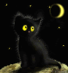 Кошки и котята Черный котенок черной ночью аватар