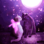 Кошки и котята Кошка с розовым бантом и кот сидят на крыше ночью аватар