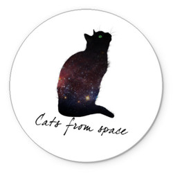 Кошки и котята Звездный кот аватар