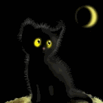 Кошки и котята Чёрный котёнок аватар