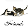 Кошки и котята Кошки (friends) аватар