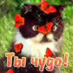 Кошки и котята Черный котенок с бабочками (ты чудо) аватар