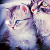 Кошки и котята Кошка и маленький серенький котеночек аватар