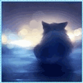 Кошки и котята Котёнок смотрит на ночные огни аватар