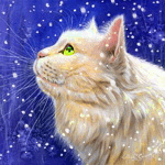 Кошки и котята Кошка смотрит в верх, идет снег аватар