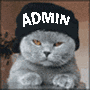 Кошки и котята Admin аватар