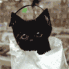 Кошки и котята Чёрный котёнок в наушниках сидит в пакете аватар