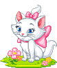 Кошки и котята Белая кошечка среди цветов аватар
