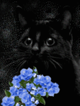 Кошки и котята Черный котик с цветочками аватар
