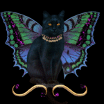 Кошки и котята Кошка-бабочка аватар