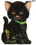 Кошки и котята Я люблю тебя! Черная кошка аватар