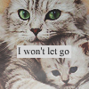 Кошки и котята Кошка с котёнком (i wont let go) аватар