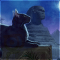 Кошки и котята Древнеегипетская кошка-сфинкс аватар