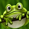 Крокодилы, лягушки, змеи, черепахи Лягушка-зеленушка аватар