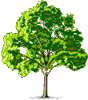 Лето Зеленое дерево аватар