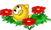 Лето Смайлик лежит среди цветов аватар