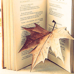 Листья, листва, трава Лист в книге аватар