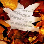 Листья, листва, трава Среди осенней листвы лежат стихи аватар