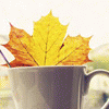 Листья, листва, трава Кленовый лист в чашке аватар