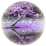 Листья, листва, трава Дерево с фиолетовыми листьями склонилось над водой аватар