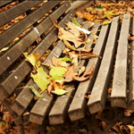 Листья, листва, трава Листья на лавочке аватар