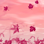 Листья, листва, трава Осенние листья на розовом фоне аватар